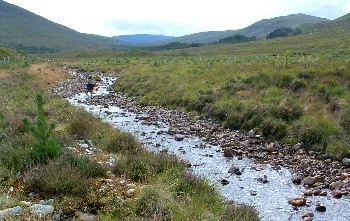 Riparian habitat restoration enclosure in the River Ewe headwaters